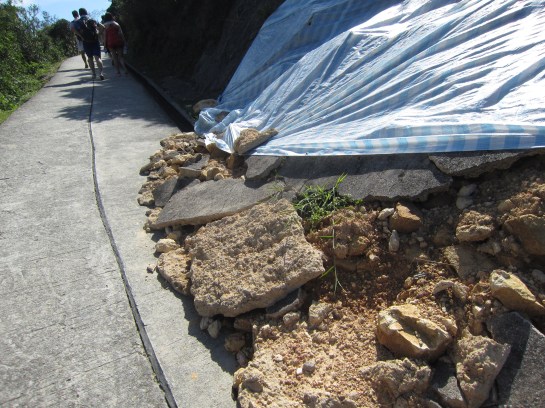 西灣亭至吹筒坳路段有多處山坡有山泥傾瀉，土木工程師Bert Leung指，相中路段仍有進一步倒塌危機。