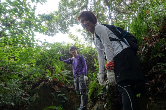 16283748473_795f0db9a0_o