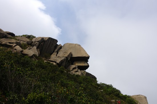 16566712558_850efb39d3_o