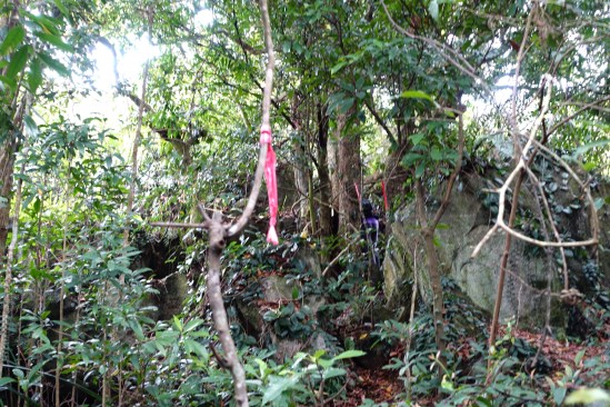 16715990658_9b39689487_o