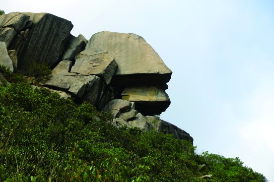 16566887710_8ed2276d15_o(Z)