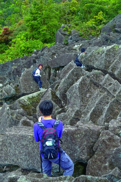 16902652131_dc4893950c_o(Z)