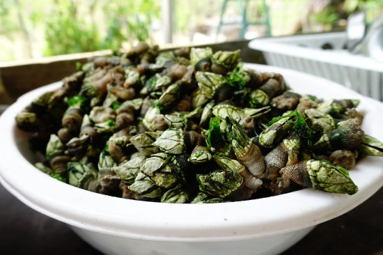 16480060543_18d6752245_o(Z)