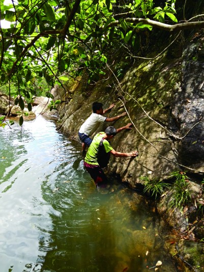 20150614_122712_19134846739_o(Z)