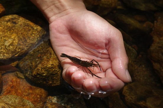 dsc05925_18787941903_o