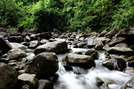 dsc06266_19317259355_o(Z)