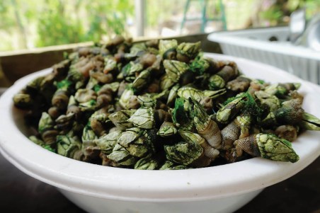 16480060543_18d6752245_o(A)