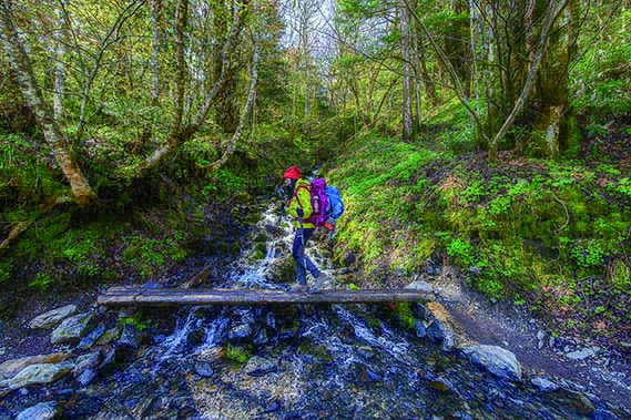 34394805_888724744648954_3036770851568484352_o(D)