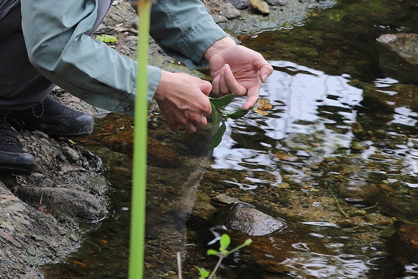 93292131_3538931969466841_1011480118356344832_n