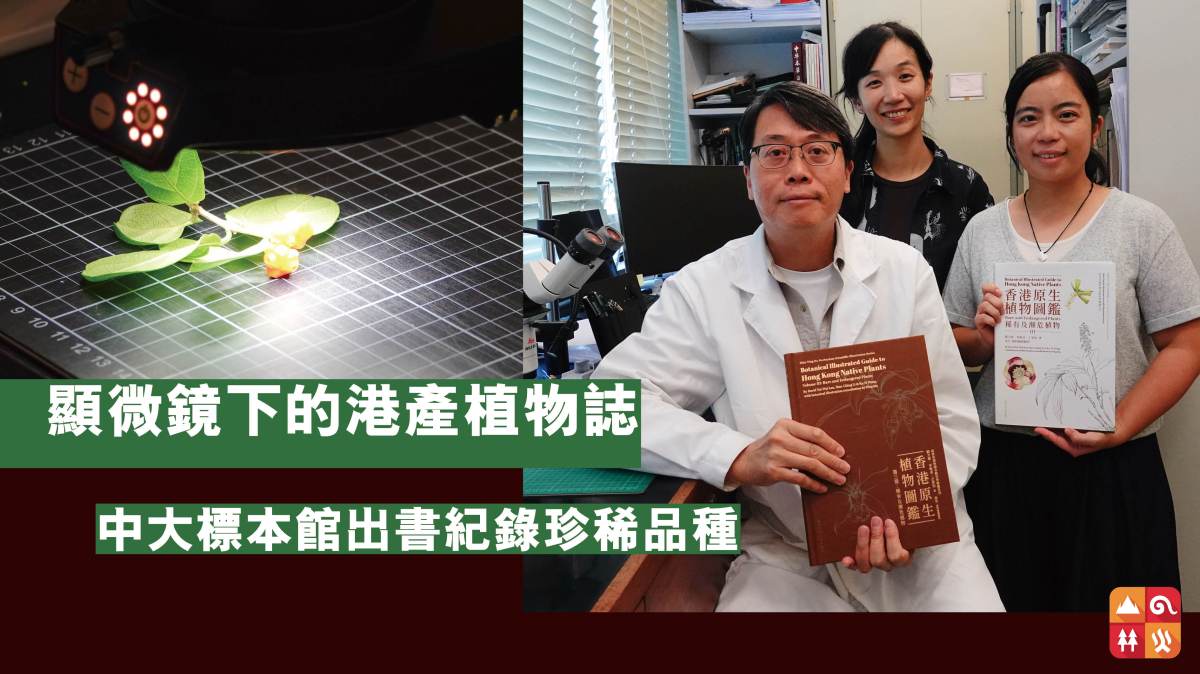 顯微鏡下的港產植物誌  中大標本館出書紀錄珍稀品種